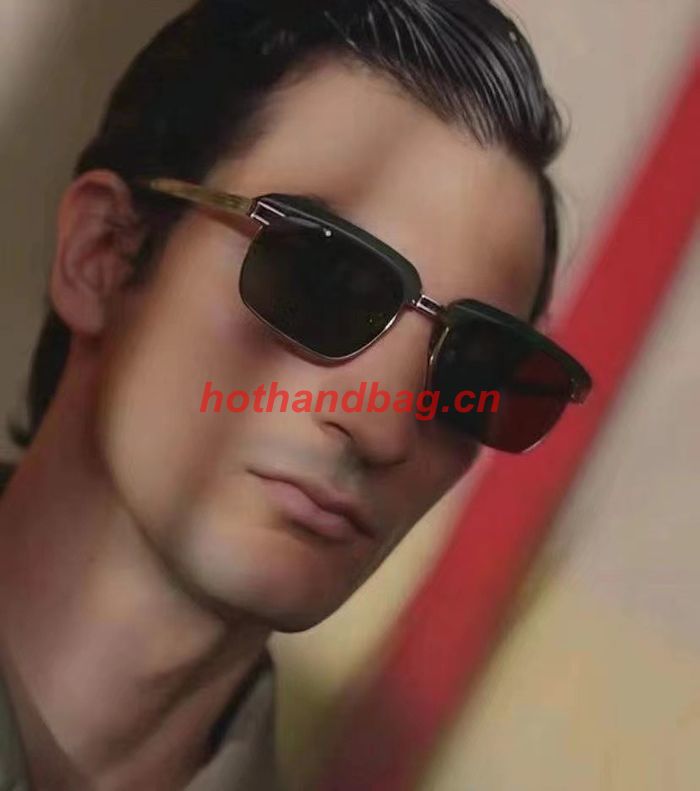 Salvatore Ferragamo Sunglasses Top Quality SFS00354